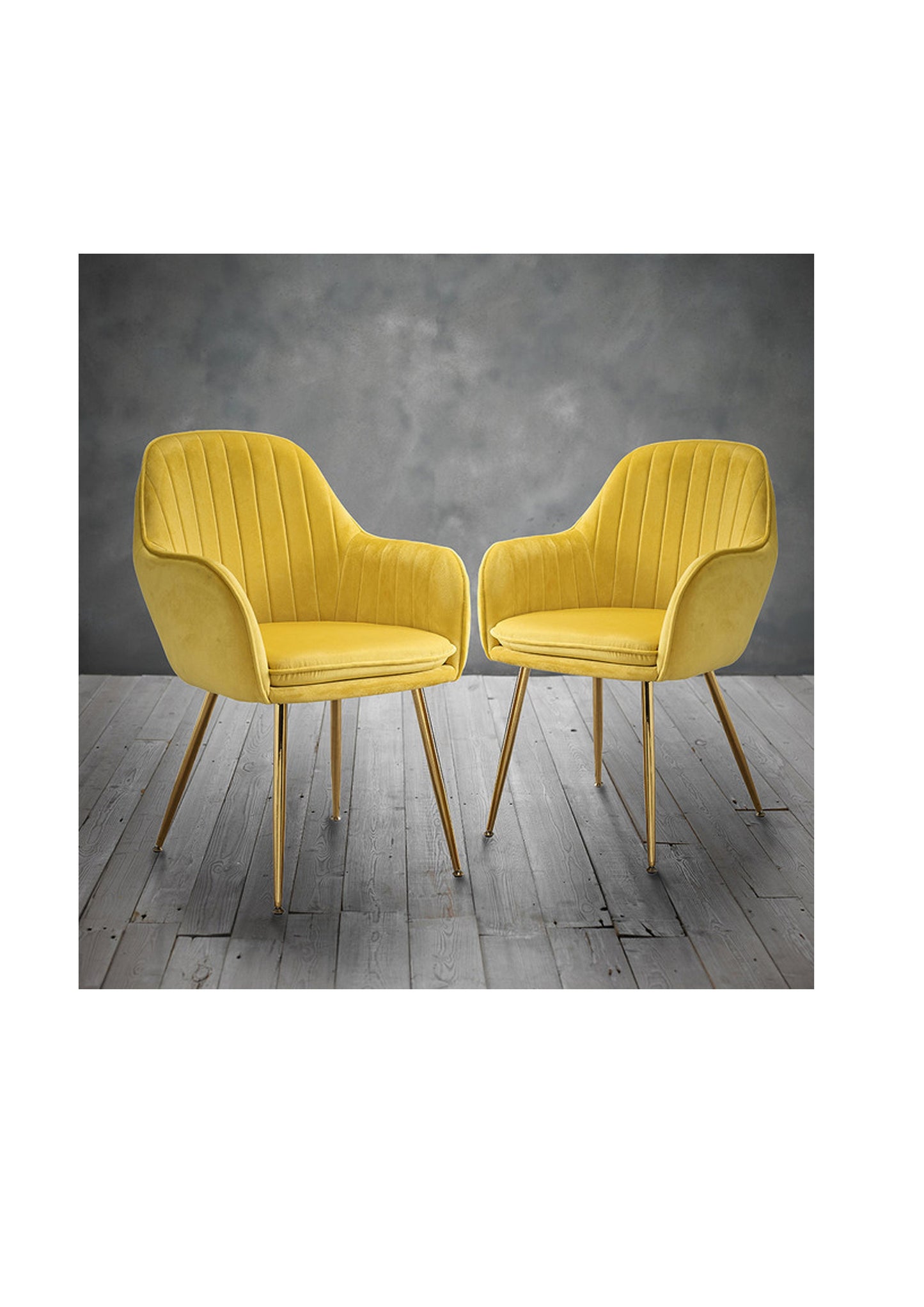 NEW Luxury Stylish Dining Office Desk Velvet Chair with gold legs  - Pack of 2 -  Yellow / Green/ Blue
