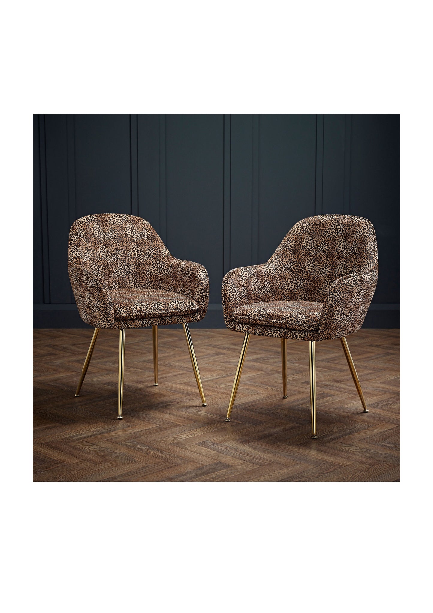 NEW Luxury Stylish Leopard Print Dining Office Desk Velvet Chair with gold legs  - Pack of 2